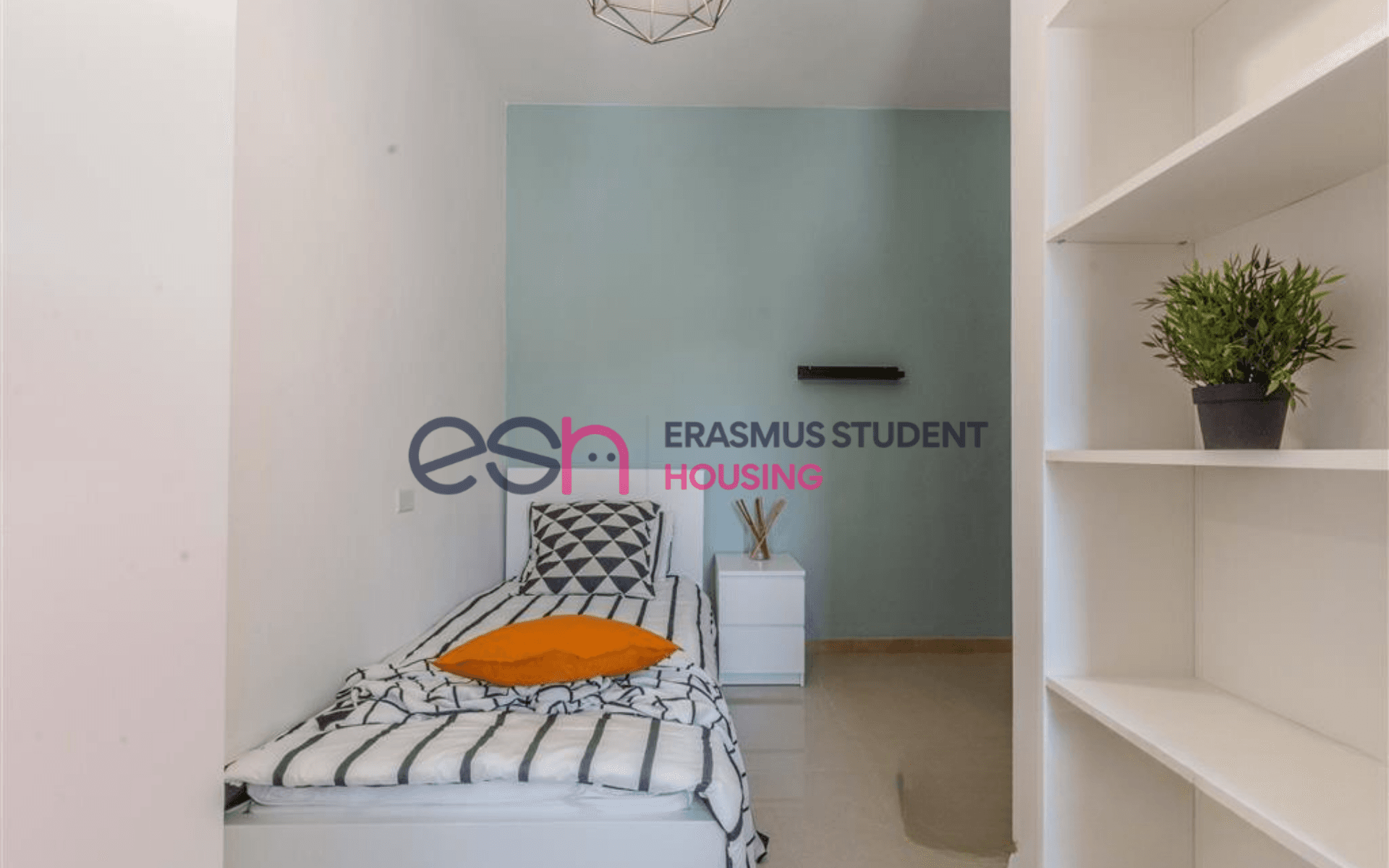 Room in Pisa