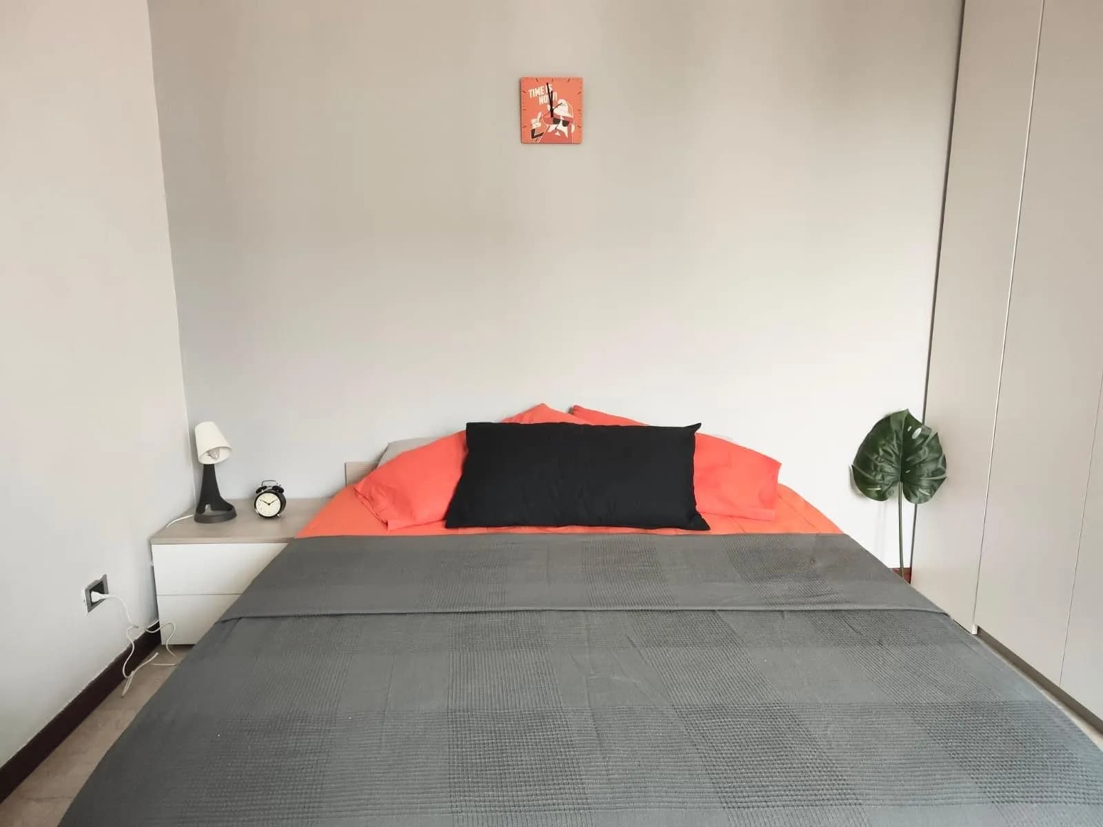 Private room in Bologna photo 2