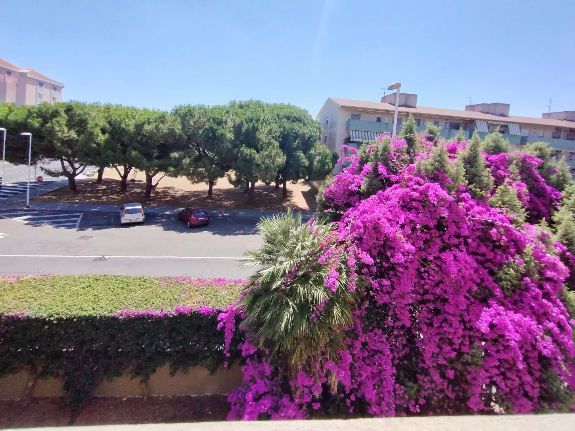 Stanza privata a Cagliari photo 4