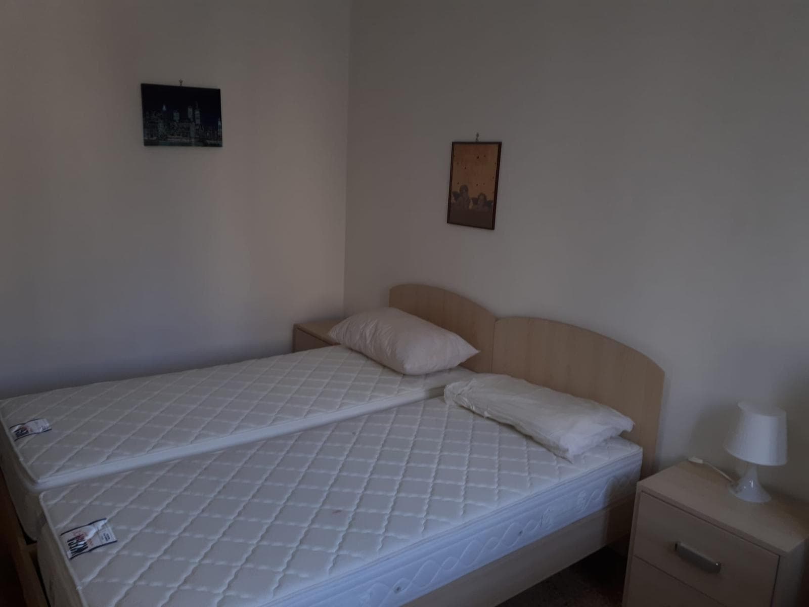 Private room in Pisa photo 3